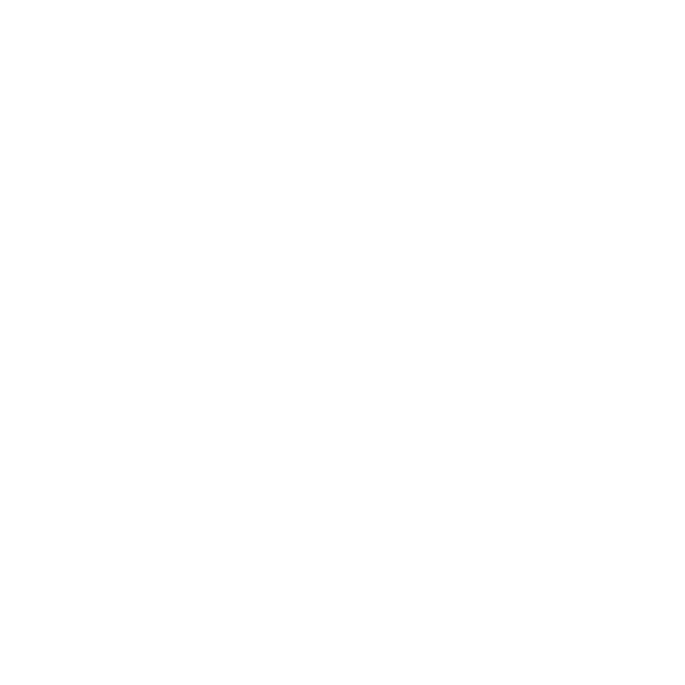icon-white-centrale-surveillance-securite-quenneville