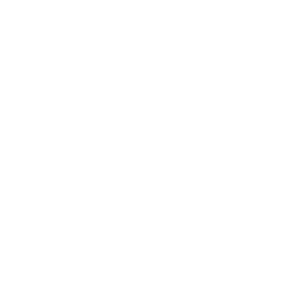 icon-white-installation-systeme-securite-quenneville