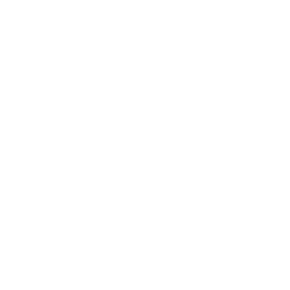 icon-white-reversed-video-surveillance-securite-quenneville